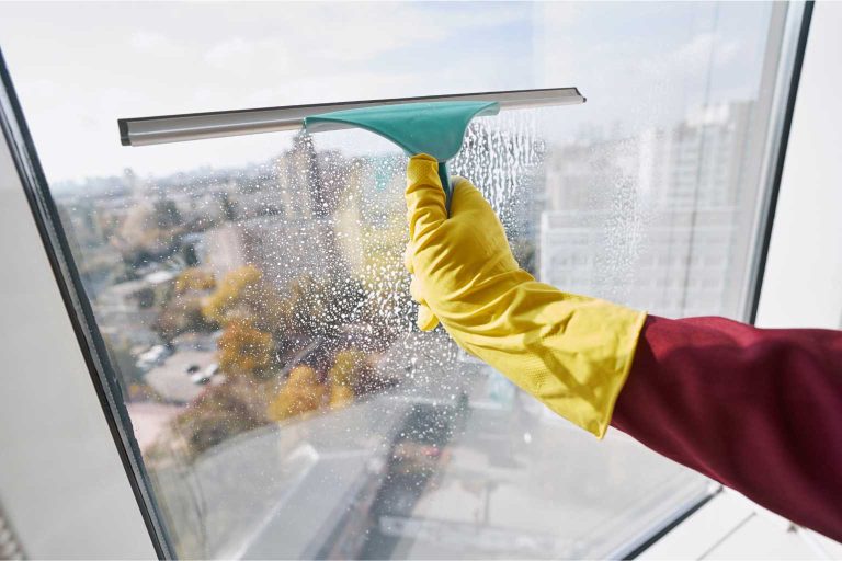 Window Cleaning